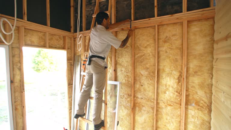 Professional Insulation in Burgaw, NC